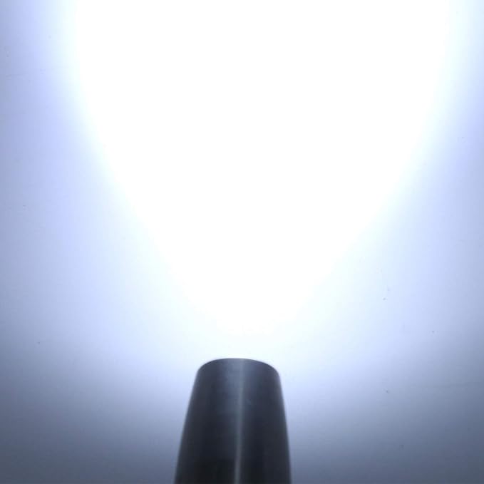 Jade Appraisal Flashlight, DX4 USB Rechargeable Jade Appraisal Light Detector Lamp 4 Lights Expert Jade UV Torch for Jewelry Appraisal , Currency Checking