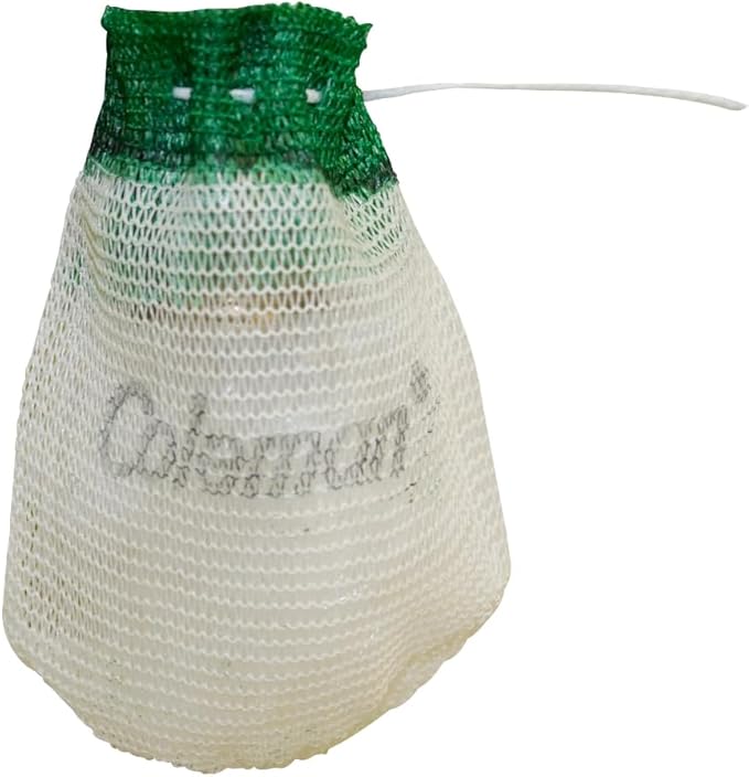 Coleman QuickPack Deluxe+ 1000 Lumens Propane Lantern Bundle with Carry Case and 4-Pack Mantles for Fueled Lanterns