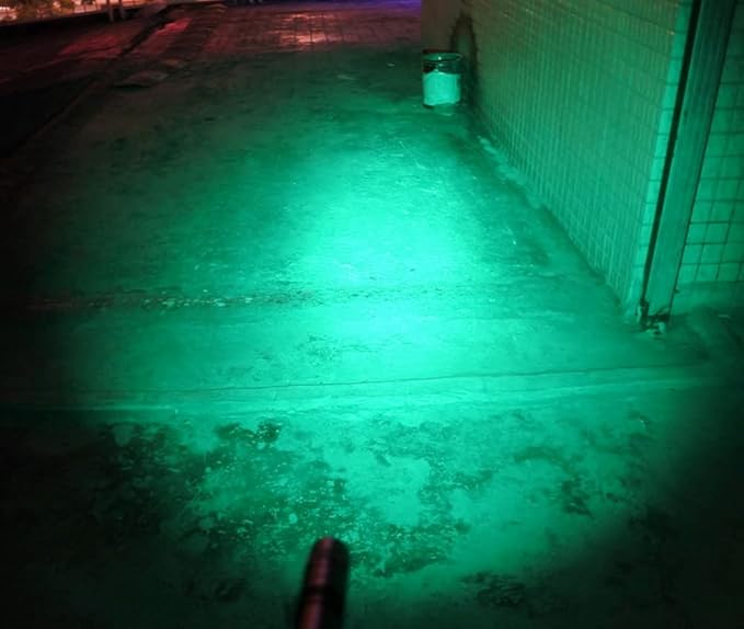 2 x Green Light Pen Type Penlight Flashlight One Mode Green Light LED Torch for Camping Hiking Fishing Hunting Animal Protecting Night Vision
