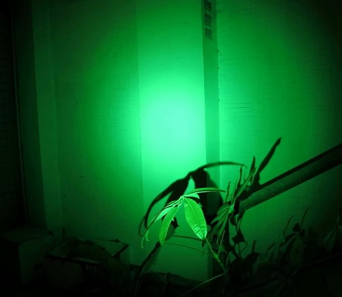 2 x Green Light Pen Type Penlight Flashlight One Mode Green Light LED Torch for Camping Hiking Fishing Hunting Animal Protecting Night Vision