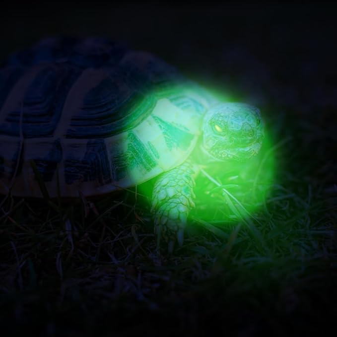 12 Pack Ultra Bright Green Light Keychain Flashlight, Mini Green LED Keychain Flashlight, Green Keychain Flashlight for Night Observation