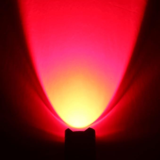 10 Pack Red Light Flashlight, 1 Mode Red LDE Flashlight Red Flashlight for Astronomy, Night Observation and Outdoor Activities