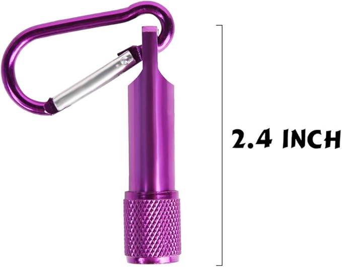 PROLOSO Mini LED Flashlight Keychains Portable Flashlight Keyring Carabiner Toys Bulk for Kids Party Favors Camping Hiking 15 Pcs