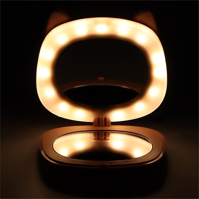 Hand Warmers Rechargeable, Electric Hand Warmer, Small Compact USB Handwarmer with Pocket Mirror Light Portable Hands Heater for Men and Women for Home Travel Use Camping Fishing