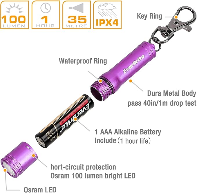 EverBrite Keychain LED Flashlight Mini Bright Key Ring Portable Pocket Torch for EDC, Party Favors, Night Reading, Camping, Power Outage, Emergency, AAA Battery Included, Purple