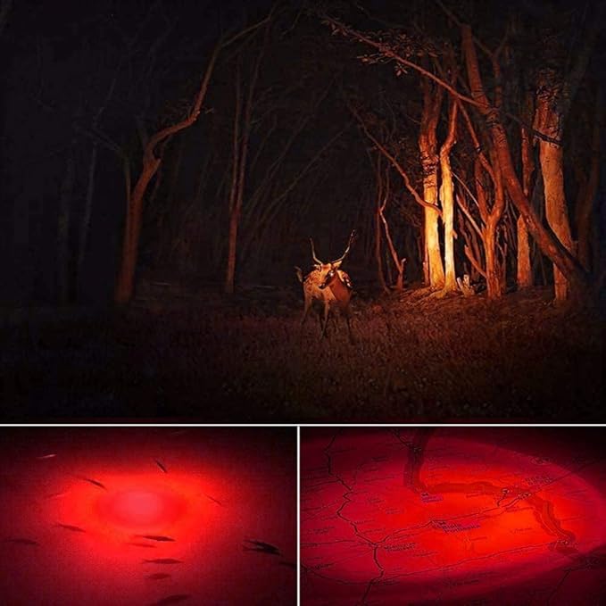 Red Light Flashlight,Single Mode Zoomable Red Flashlight Torch with Clip, Red LED Flashlight for Hunting,Astronomy Observation, Night Vision,Climbing,3-Pack