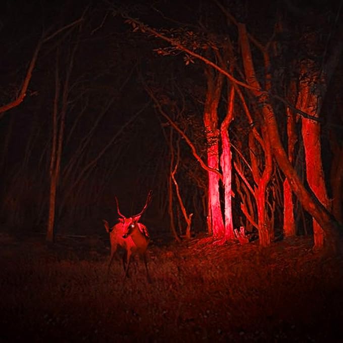 3 Pack Red Light Flashlight, 3 Modes Mini Red LED Flashlight, Zoomable Red Flashlight Torch with Clip for Night Vision, Astronomy, Aviation, Night Observation