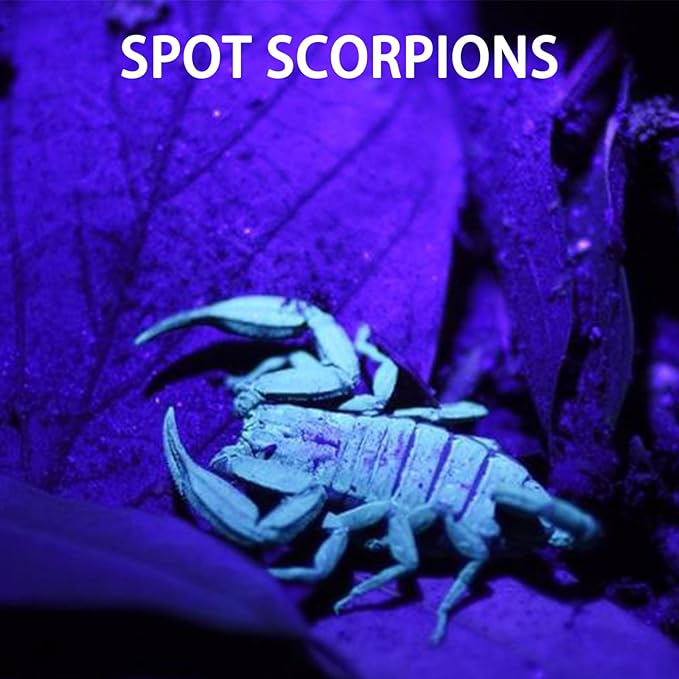 Mini UV Keychain Flashlight, Portable Black Light, 12 Lumen Ultra Bright Tiny Flashlight, Small Keychain Flashlight for Stain Detection & Scorpion Finder, Battery Included (48PCS)