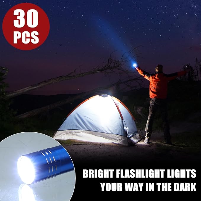 30 Pack Mini LED Flashlight Bulk, Aluminum LED Handheld Torches with Lanyard and Batteries Small LED Flashlights for Camping, Kids Party, Night Reading, Hiking, Gift, Indoor, 4 Colors