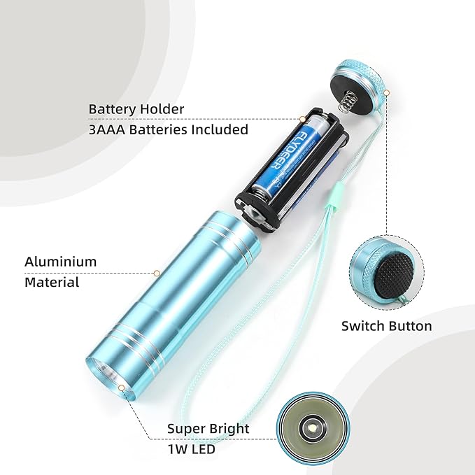 6 Pack Mini Flashlight Set, Aluminum LED Handheld Torches with Lanyard, Assorted Colors, Batteries Included for Party Favors, Night Reading, Camping, Power Outage (Style 2, 6)