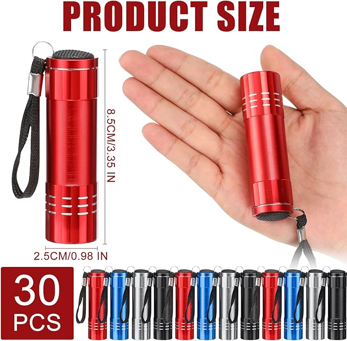 30 Pack Mini LED Flashlight Bulk, Aluminum LED Handheld Torches with Lanyard and Batteries Small LED Flashlights for Camping, Kids Party, Night Reading, Hiking, Gift, Indoor, 4 Colors