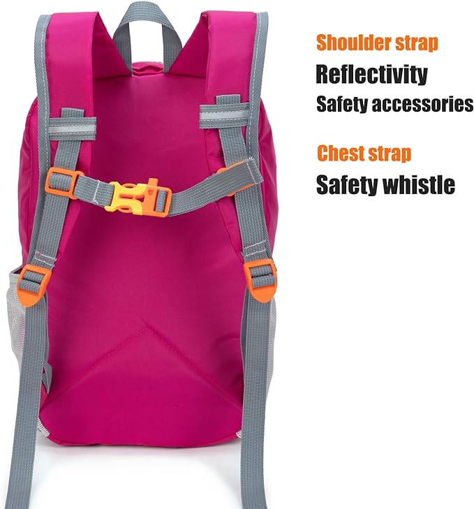Little Kids Hiking Backpack for Boys or Girls, Small Daypack for Camping or Travel (Rose)