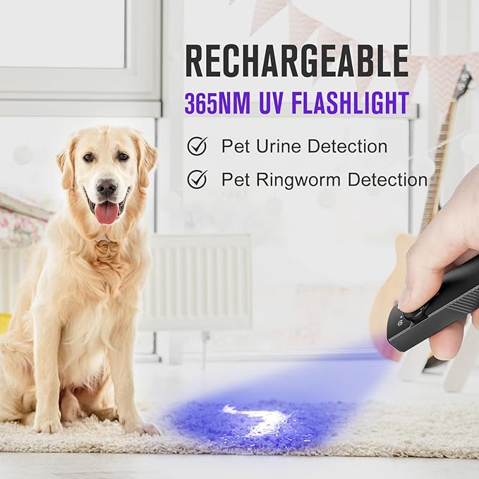 OLIGHT Arkfeld UV 365nm Black Light with 1000 Lumens White LED Flashlight, Rechargeable Flat Flashlight for Outdoors, Emergency, Working, Pet Urine Detection (Neutral White Light: 4000~5000K)