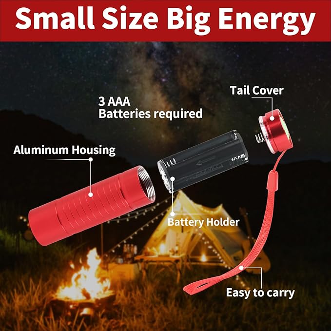 6 Pack Red Light LED Flashlight Mini, Red Flashlight Red Torch for Astronomy, Aviation, Night Observation and Animal Observation