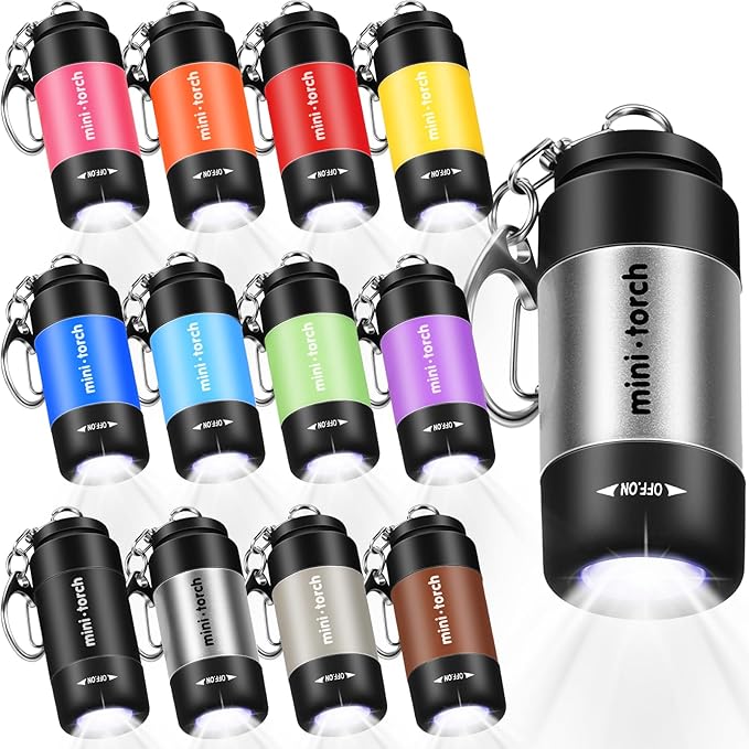 Retisee 24 Pieces Mini Flashlight Keychains Bulk Rechargeable Small Led Flashlight for Kids Portable Multicolor Flashlight Keychain Lamp for Travel Camping Party Favors