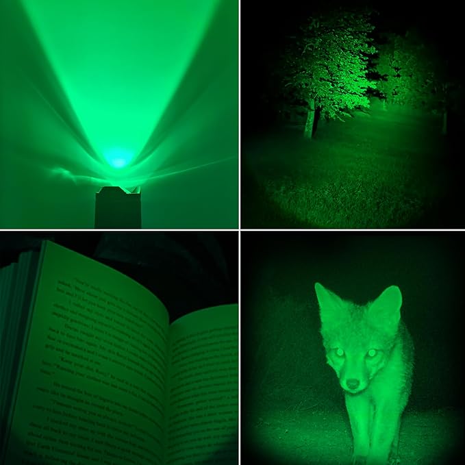 Single Mode LED Flashlight, Red Green Blue Flashlight - Mini Light Portable Zoomable Flashlight for Fishing Camping Hunting Emergency, 3 Pack
