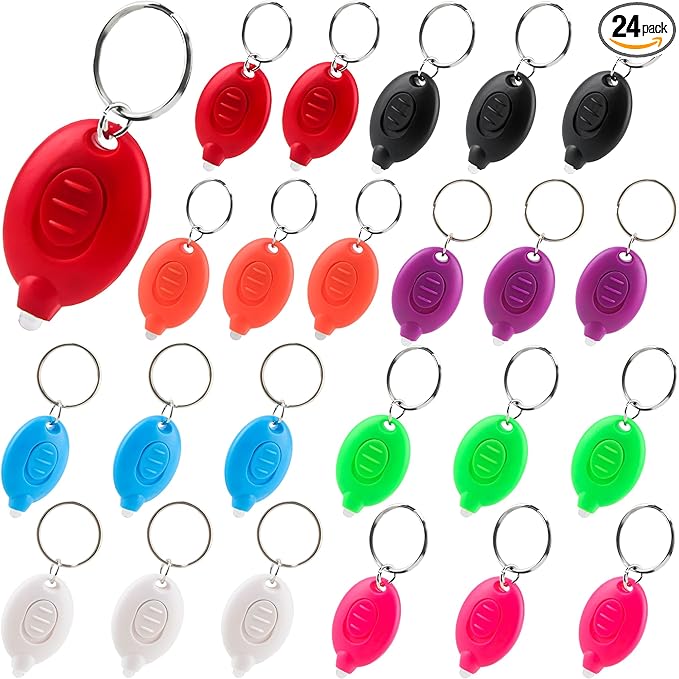 24 Pack Mini Led Flashlight Keychain Portable Ultra Bright Small Flashlight Key Ring for Outdoor Night Activities and Emergency Lighting (Color Set 1)