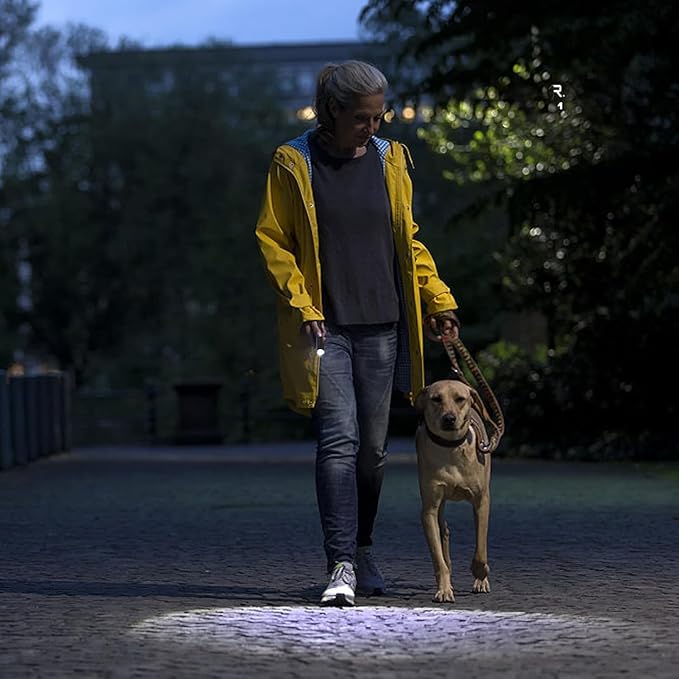 3 Pack LED Rechargeable Flashlight, Super Bright Small MiniCamping Flashlights Zoomable Beam, Convenient USB C Charging for Camping Hiking Outdoor Home Emergency