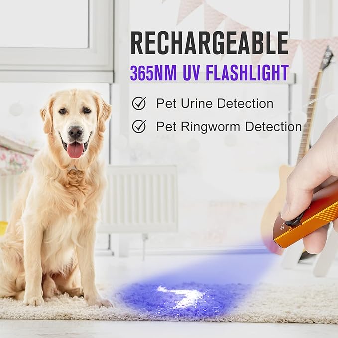 OLIGHT Arkfeld UV 365nm Black Light, 1000 Lumens White LED Flashlight, Rechargeable UV Flashlight for Camping, Outdoors, Emergency, Pet Urine Detection (Neutral White Light: 4000~5000K)