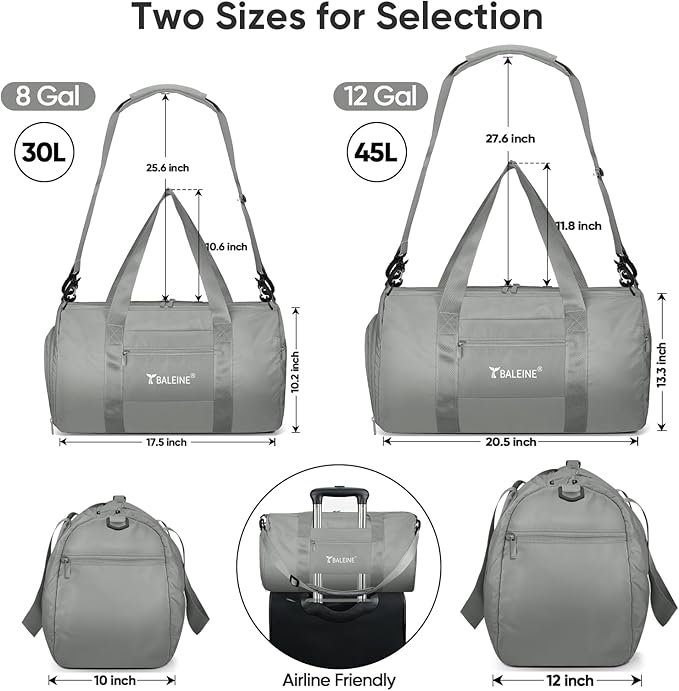BALEINE Gym Bag for Women and Men, Duffel Bag for Sports, Gyms and Weekend Getaway, Waterproof Dufflebag with Shoe and Wet Clothes Compartments, Lightweight Carryon Gymbag (Silver)