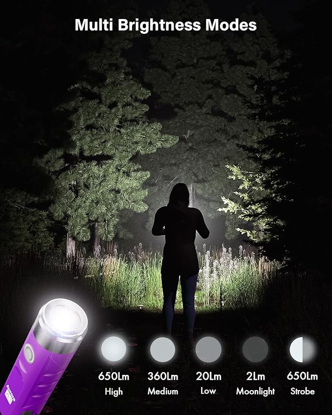 RovyVon Aurora A1 G3 Rechargeable Keychain Flashlights USB C, 650lumens Bright Mini EDC Flashlight IPx6 Multi Functions Small Pocket Flashlight, Outdoor Camping Essentials EDC Gear for Men Women