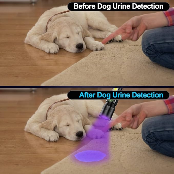 UV Flashlight Black Light, 2 Pack 3 in 1 Super Bright Small Rechargeable Flashlights 1200 High Lumens, Waterproof Magnetic LED Flashlight, 7 Modes Pocket Flash Light for Pet Urine Detection