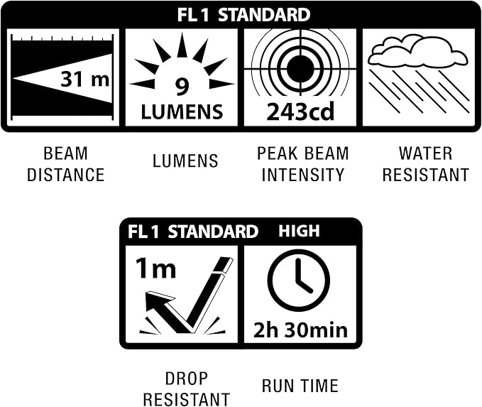 Maglite Mini Incandescent 2-Cell AAA Flashlight, Silver