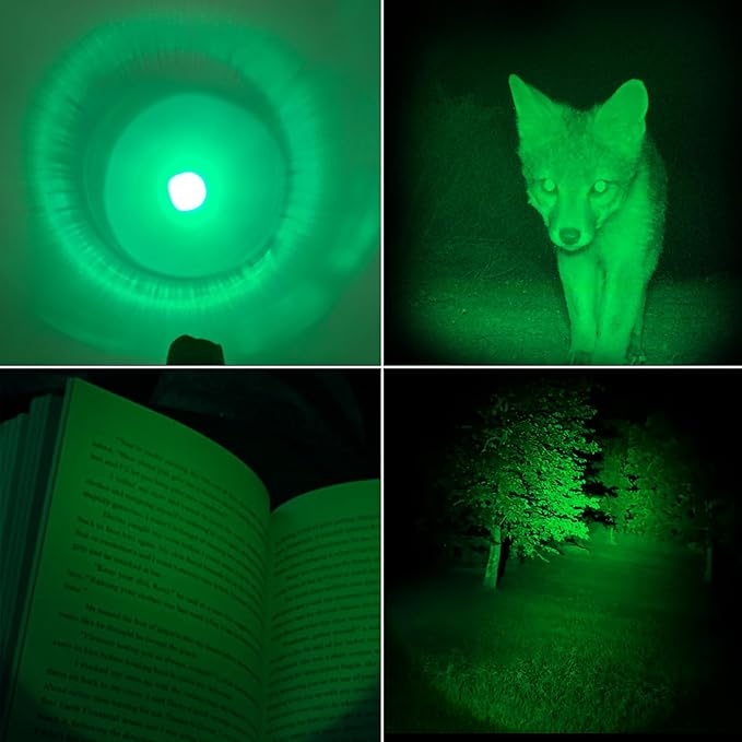 3 Pack LED Flashlight, Single Mode Red Green Blue Flashlight - Portable Mini Light Zoomable Flashlight for Fishing Outdoor Camping Hunting Emergency Lighting