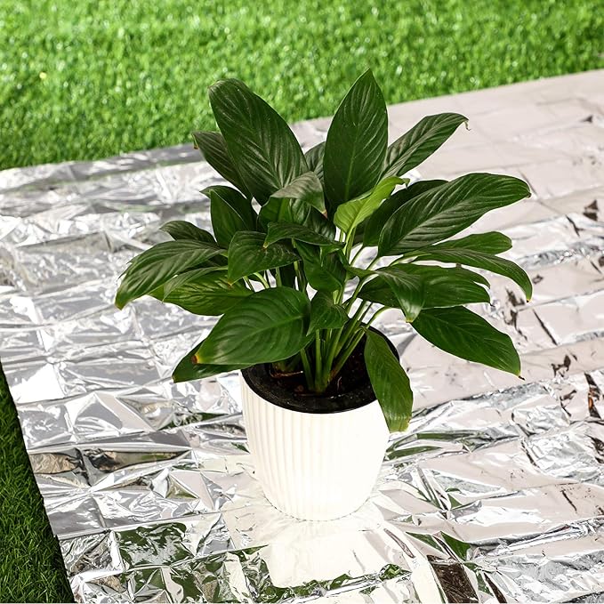 Maitys 4 Pcs Emergency Blankets High Silver Reflective Foil Sheet Heat Foil Protection Rescue Blankets Camping Blanket Hiking Space Blankets and Garden Greenhouse Covering Plant Growth Sheet