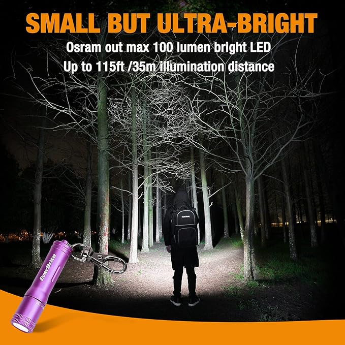 EverBrite Keychain LED Flashlight Mini Bright Key Ring Portable Pocket Torch for EDC, Party Favors, Night Reading, Camping, Power Outage, Emergency, AAA Battery Included, Purple