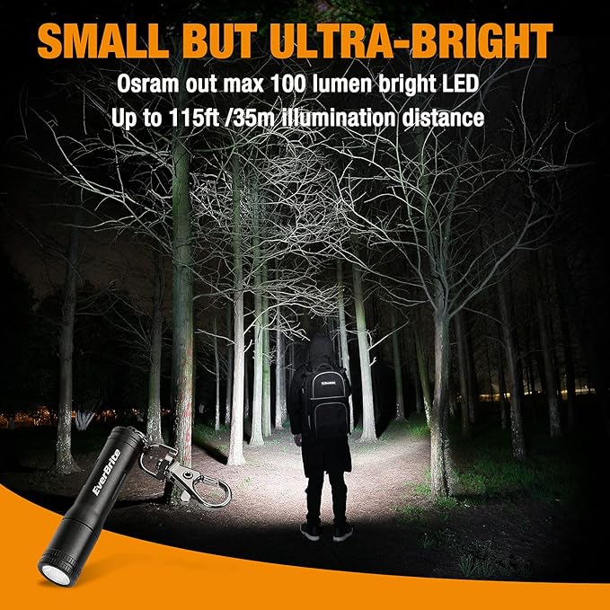 EverBrite Mini LED Flashlight High Lumen Keychain EDC Flashlight, Small Pocket Pen-Light for Hurricane Supplies, Camping, Hiking, Emergency, Hunting, 1 AAA Battery(Include), Black