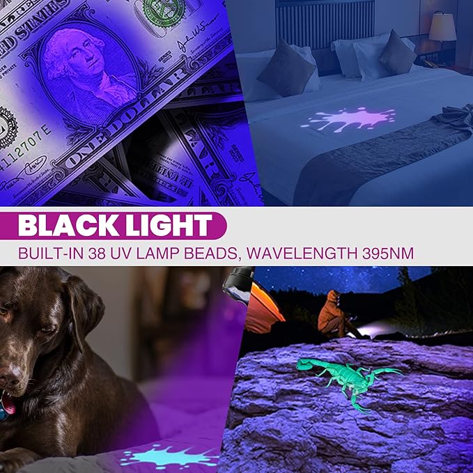 EverBrite LED Flashlight, Multifunctional Flashlight with UV and White Light, 395nm Black Light, 300 Lumens High Powered Flashlight for Camping, Emergencies, Pet Urine Stains, AA Batteries Included