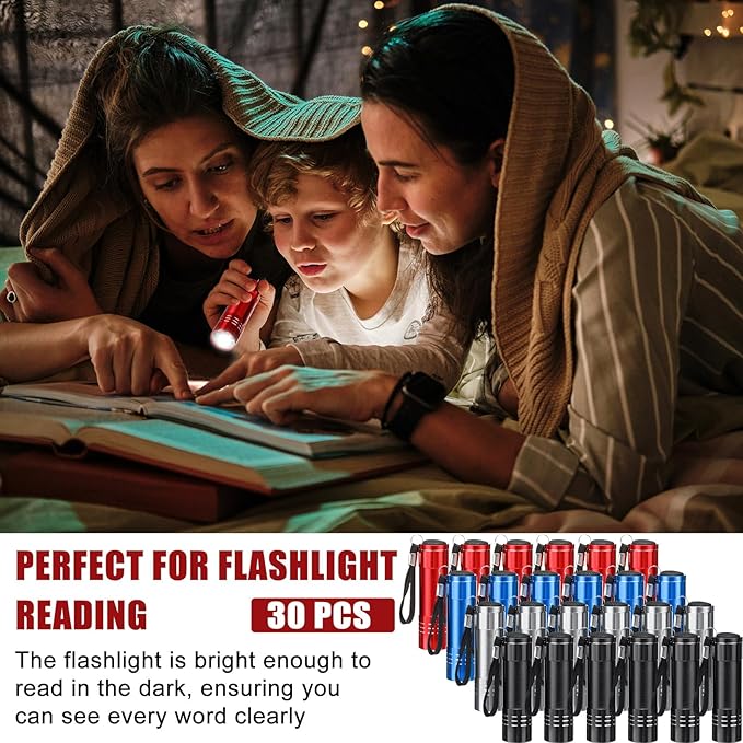 30 Pack Mini LED Flashlight Bulk, Aluminum LED Handheld Torches with Lanyard and Batteries Small LED Flashlights for Camping, Kids Party, Night Reading, Hiking, Gift, Indoor, 4 Colors