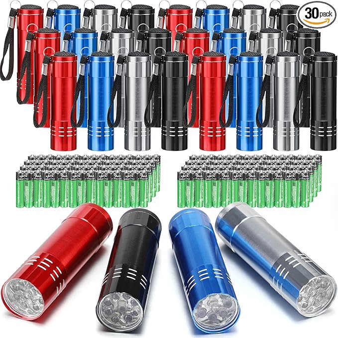 30 Pack Mini LED Flashlight Bulk, Aluminum LED Handheld Torches with Lanyard and Batteries Small LED Flashlights for Camping, Kids Party, Night Reading, Hiking, Gift, Indoor, 4 Colors