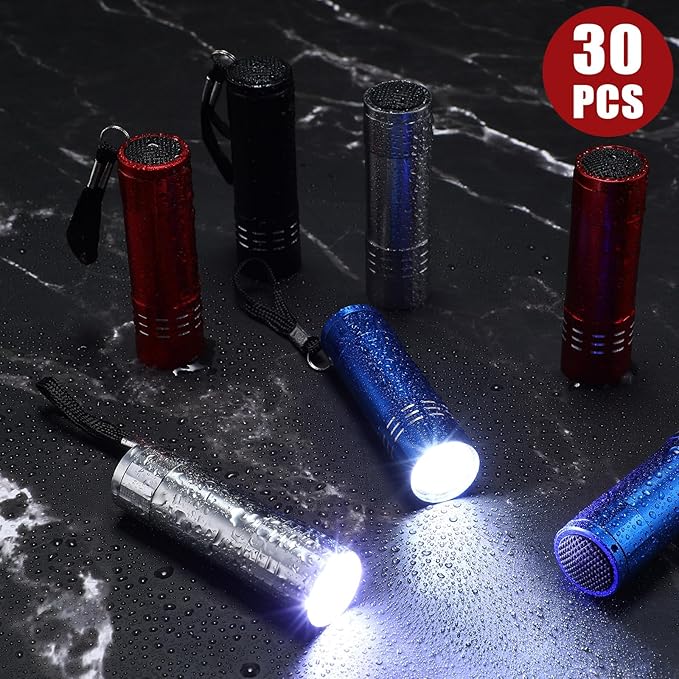 30 Pack Mini LED Flashlight Bulk, Aluminum LED Handheld Torches with Lanyard and Batteries Small LED Flashlights for Camping, Kids Party, Night Reading, Hiking, Gift, Indoor, 4 Colors