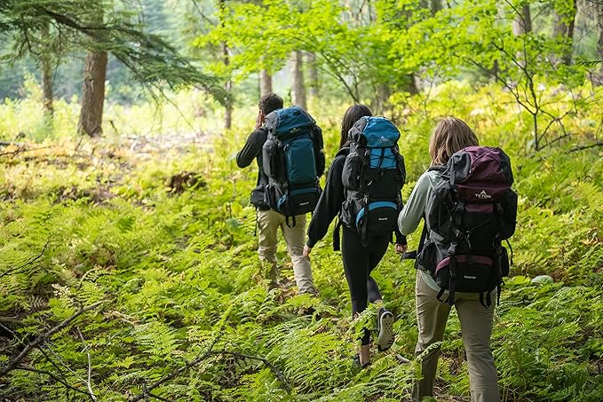 TETON 45L Scout Internal Frame Backpack for Hiking, Camping, Backpacking, Rain Cover Included