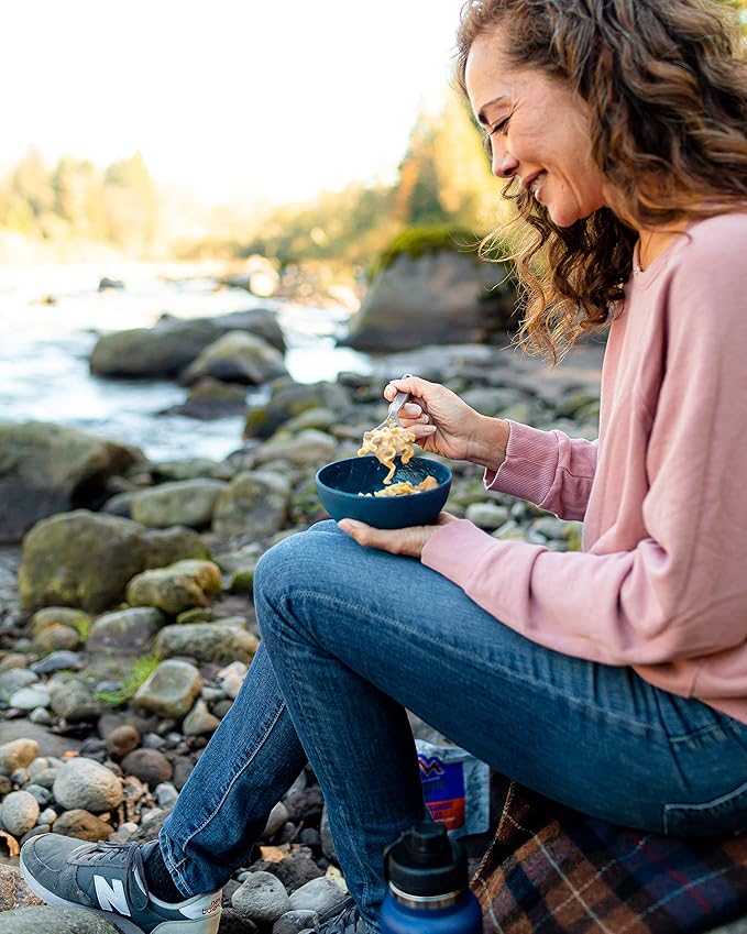 Mountain House Veggie Chorizo Breakfast Scramble 2-Servings & Beef Stroganoff with Noodles 2 Servings Freeze-Dried Backpacking & Camping Food Bundle
