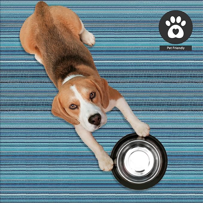 FH Home Outdoor Rug - Waterproof, Fade Resistant, Reversible - Premium Recycled Plastic - Striped - Large Patio, Deck, Sunroom, Camping, RV - Havana - Turquoise Crease Free - 6 x 9 ft