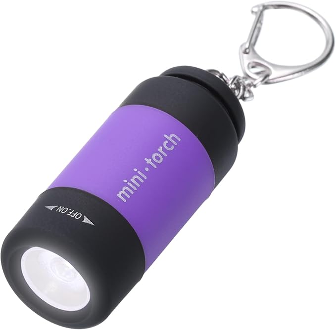 PATIKIL Mini Keychain Flashlight, Pocket LED Flashlight Portable Torch USB Rechargeable for Outdoor Camping Party, Purple