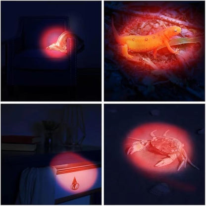12 Pack Ultra Bright Red LED Keychain Flashlight, Mini Red Light Keychain Flashlight, Red Keychain Flashlight for Night Observation