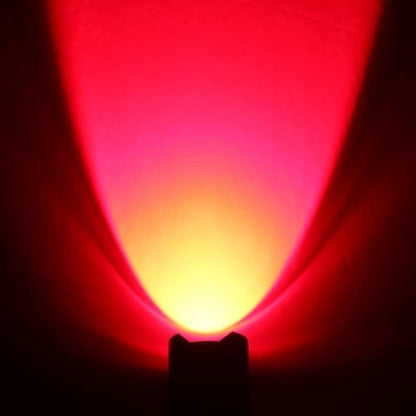 2 Pack Red Light Flashlight Red LDE Flashlight Red Flashlight Night Vision Flashlight for Astronomy, Night Observation and Outdoor Activities(2 PCS)
