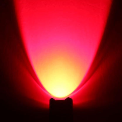 10 Pack Red Light Flashlight, 1 Mode Red LDE Flashlight Red Flashlight for Astronomy, Night Observation and Outdoor Activities