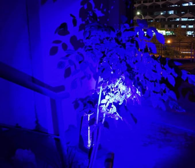2 x Blue Light Penlight Pen Type Flashlight One Mode Blue Light LED Torch for Camping Hiking Fishing Hunting Animal Protecting Night Vision