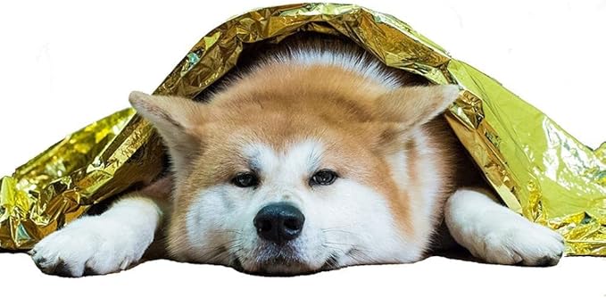GALAXYLENSE Emergency Mylar Thermal Blanket for Survival First Aid Kits Army Outdoors Hiking Camping Bug Out Trauma Desert All Weather Condition Protection (100 Packs Gold)