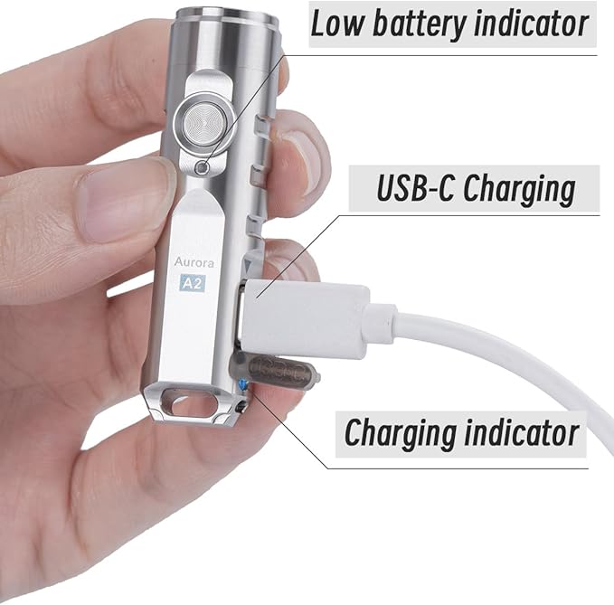 RovyVon A2 G4 USB-C LED Keychain Flashlight, 650 High Lumen Super Bright with EDC Pocket-Sized,Momentary On,Lock Mode,Type-C Rechargeable,Stainless Steel, Gift for Camping Emergency