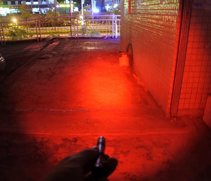 2X Red Light Pen Type Penlight Flashlight One Mode Red Light Flashlight for Camping Hiking Animal Protecting Beekeeping Detecting Astronomy Aviation Night Vision