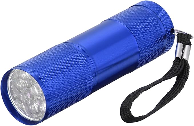 PATIKIL 9 LED Mini Flashlights, Aluminum Pocket Flashlight Torch with Lanyard for Camping, Hiking, Outdoor Emergencies, Blue