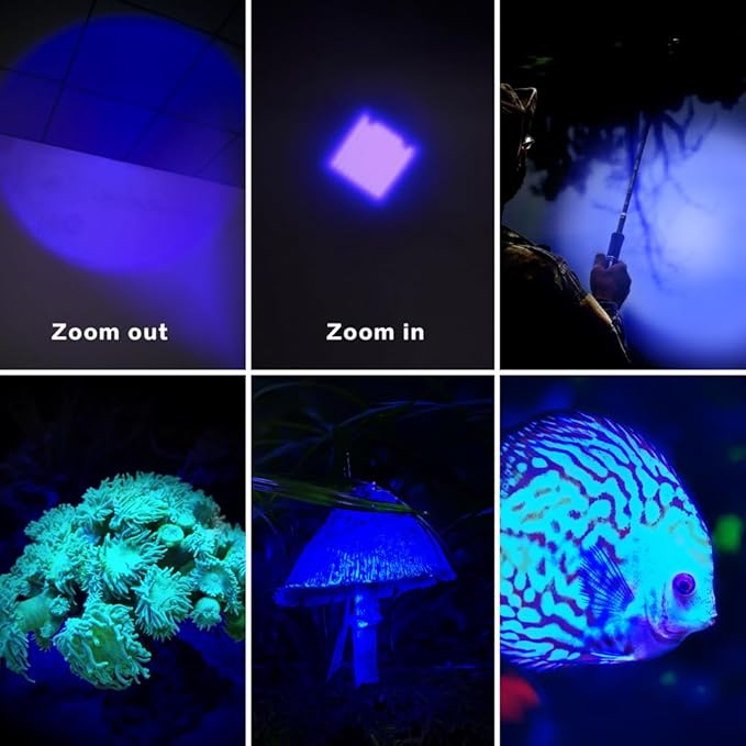 10 Pack Blue LDE Flashlight Blue Flashlight, 1 Mode Blue Light Flashlight, 460nm-470nm Flashlight Blue Light for Night Fishing, Riding