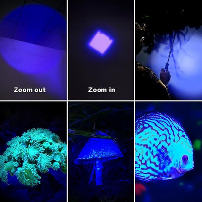 10 Pack Blue LDE Flashlight Blue Flashlight, 1 Mode Blue Light Flashlight, 460nm-470nm Flashlight Blue Light for Night Fishing, Riding