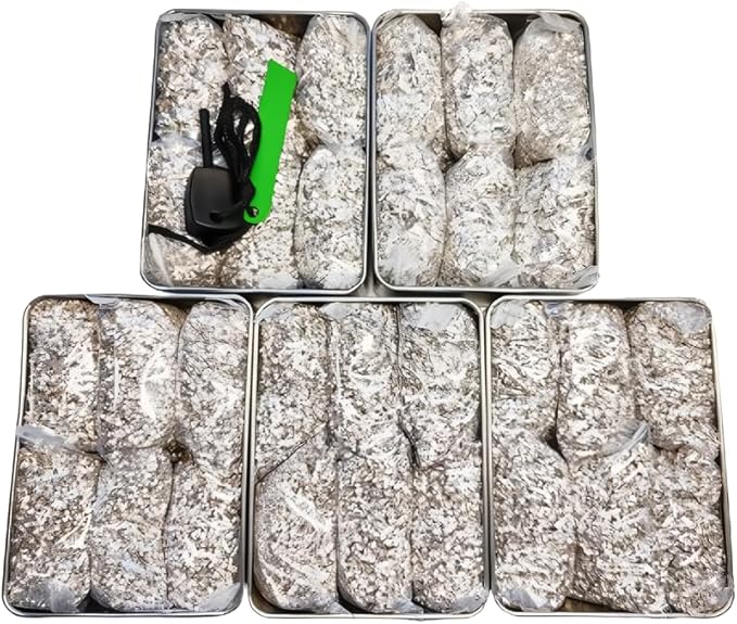 Emergency Fire Starter Kit Magnesium 6 Bags for Camping Hiking Bushcraft Survival Outdoor Hurricane Outage Light Weight Portable + 1 Tin Box